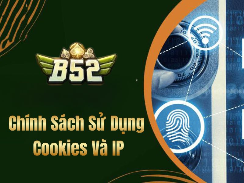 Chính sách sử dụng cookies và IP
